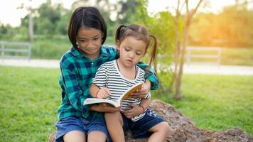 linda pequeño niña leyendo libro en árbol en parque.sstkhome foto