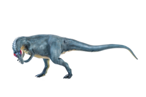 Allosaurus dinosauro isolato sfondo png