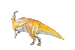 parasaurolophus dinosaurus geïsoleerd achtergrond png