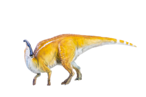 parasaurolophus dinosaurus geïsoleerd achtergrond png