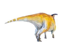 Parasaurolophus  dinosaur isolated background png