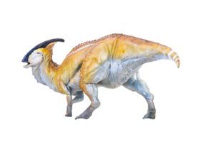 Parasaurolophus Dinosaurier isoliert Hintergrund png