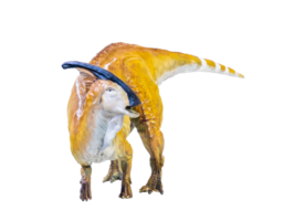 parasaurolophus dinosaurus geïsoleerd achtergrond png