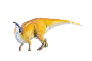 parasaurolophus dinosaurus geïsoleerd achtergrond png