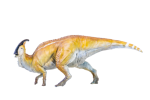 parasaurolophus dinosaurus geïsoleerd achtergrond png