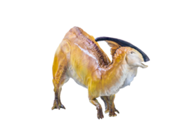 Parasaurolophus  dinosaur isolated background png