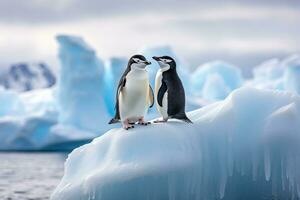 gentoo pingüinos en iceberg, antártico península, Antártida, Correa de la barbilla pingüinos, pigoscelis Antártida, en un iceberg apagado el sur Shetland islas, ai generado foto