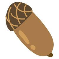 Hand-drawn acorn. White background, isolate. vector