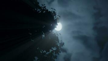escalofriante oscuro misterio noche estado animico de lleno Luna planeta en espacio universo video