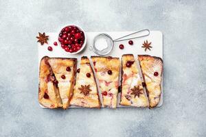 Cottage cheese pie casserole with cranberries and spices sprinkled with powdered sugar on a wooden stand. Gray concrete table. Copy space photo