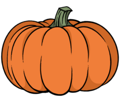 pumpa i hand teckning borsta stil isolerat på transparent png. perfekt för halloween fest. png