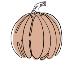 Minimal style pumpkin in hand drawing  isolated on transparent PNG  for halloween and Thanksgiving