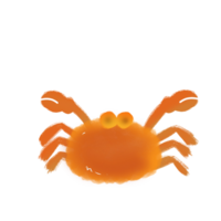 de zee voedsel en zee dieren krab png