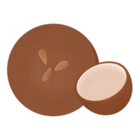 Naturel noix de coco l'eau png