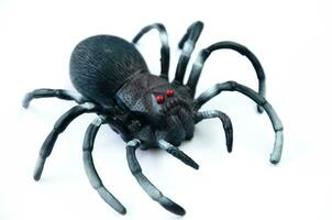 Toy black spider on white background. High quality photo