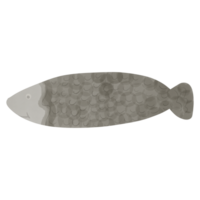 acquerello pesce png. png