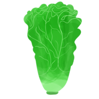 cos vegetabiliska png. png