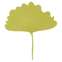 autunno verde ginkgo png