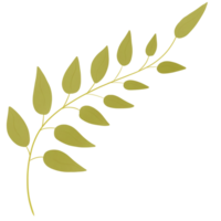 Cute green plant png