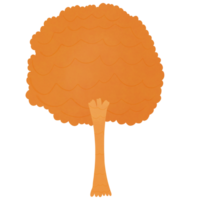 otoño árbol naranja png