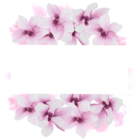 bloemen kader met waterverf roze magnolia bloemen, bloemknoppen en bladeren hand- geschilderd illustratie. ontwerp voor bruiloft uitnodigingen en groet kaarten of ansichtkaarten png