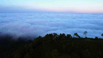 aereo Visualizza al di sopra di il montagne con mare di nebbia durante mattina Alba nel blu cielo. mare di nuvole in giro montagna picchi a Alba. nascosto viaggio nel settentrionale Tailandia video