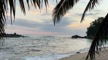 Coastal Calm, Sunset Serenity with Palm Fronds video