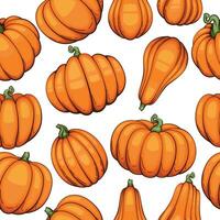 Thanksgiving Seamless pattern with pumpkins. Thanksgiving Background. Pumpkin Seamless Background vector