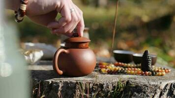 de cerca. del hombre mano cierra el arcilla tetera con un tapa. chino té ceremonia concepto. utensilios para té Bebiendo video