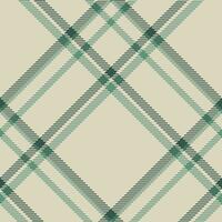 Plaid pattern vector. Check fabric texture. Seamless textile design for clothes, paper print. vector