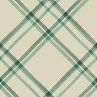 Plaid pattern vector. Check fabric texture. Seamless textile design for clothes, paper print. vector