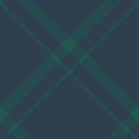 Plaid pattern vector. Check fabric texture. Seamless textile design for clothes, paper print. vector