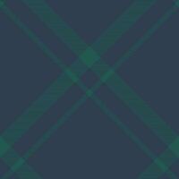 Plaid pattern vector. Check fabric texture. Seamless textile design for clothes, paper print. vector