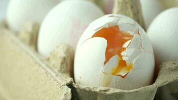 one broken egg with yellow yolk stored in carton container video