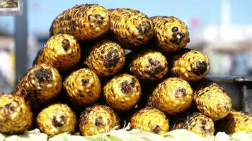 Grilled Corn for sale in a market stall in istanbul video