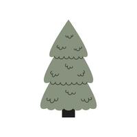 Christmas fir tree vector