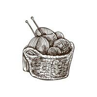 Hand-drawn sketch of basket with balls of yarn, wool and knitting needles. Knitwear, handmade, knitting equipment concept in vintage doodle style. Engraving style. vector