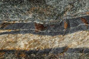 ojo de serpiente de piedra mineral macro en la roca un fondo blanco foto