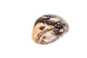 Macro mineral stone jasper on a white background photo