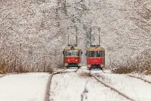 An old tram moving through a winter forest photo