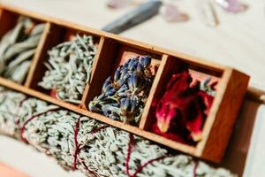 set of dried herbs delphinium, sage, wormwood, lavender, rose. Wormwood wand photo