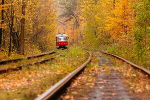 autumn forest among which goes a strange tram photo