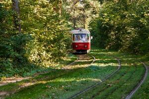 Tram and tram rails in colorful forest photo