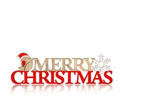 beautiful inscription, Merry Christmas sign on a white background photo