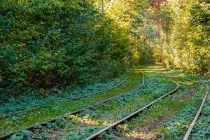 Tram and tram rails in colorful forest photo