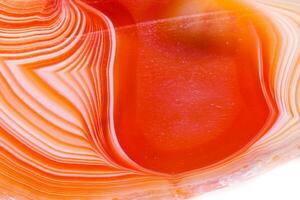 Macro mineral orange agate in crystals on white background photo