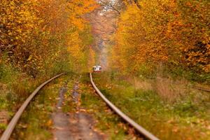 autumn forest among which goes a strange tram photo