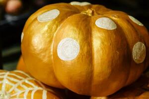 beautiful painted pumpkins of white and gold color on halloween photo