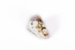 Macro mineral stone Jasper oceanic on a white background photo