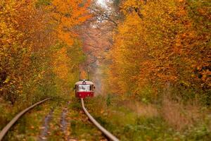 autumn forest among which goes a strange tram photo